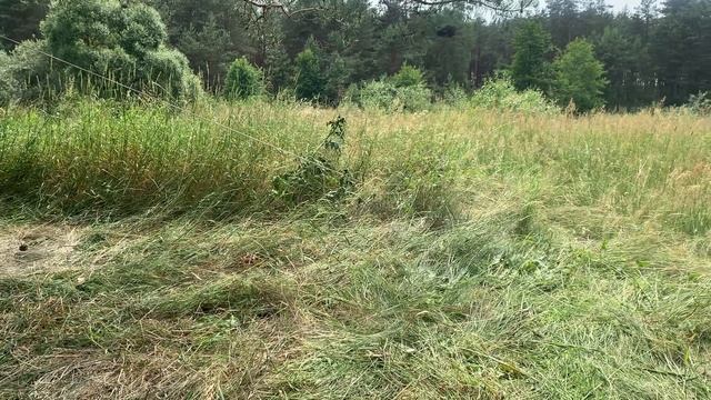 ЦЫПЛЕНОК С ПЕРЦЕМ ЧИЛИ В СОБСТВЕННОМ СОКУ - ГРОДФУД - ГРОДНО смотреть онлайн