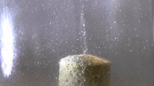 Донный технопланктон.