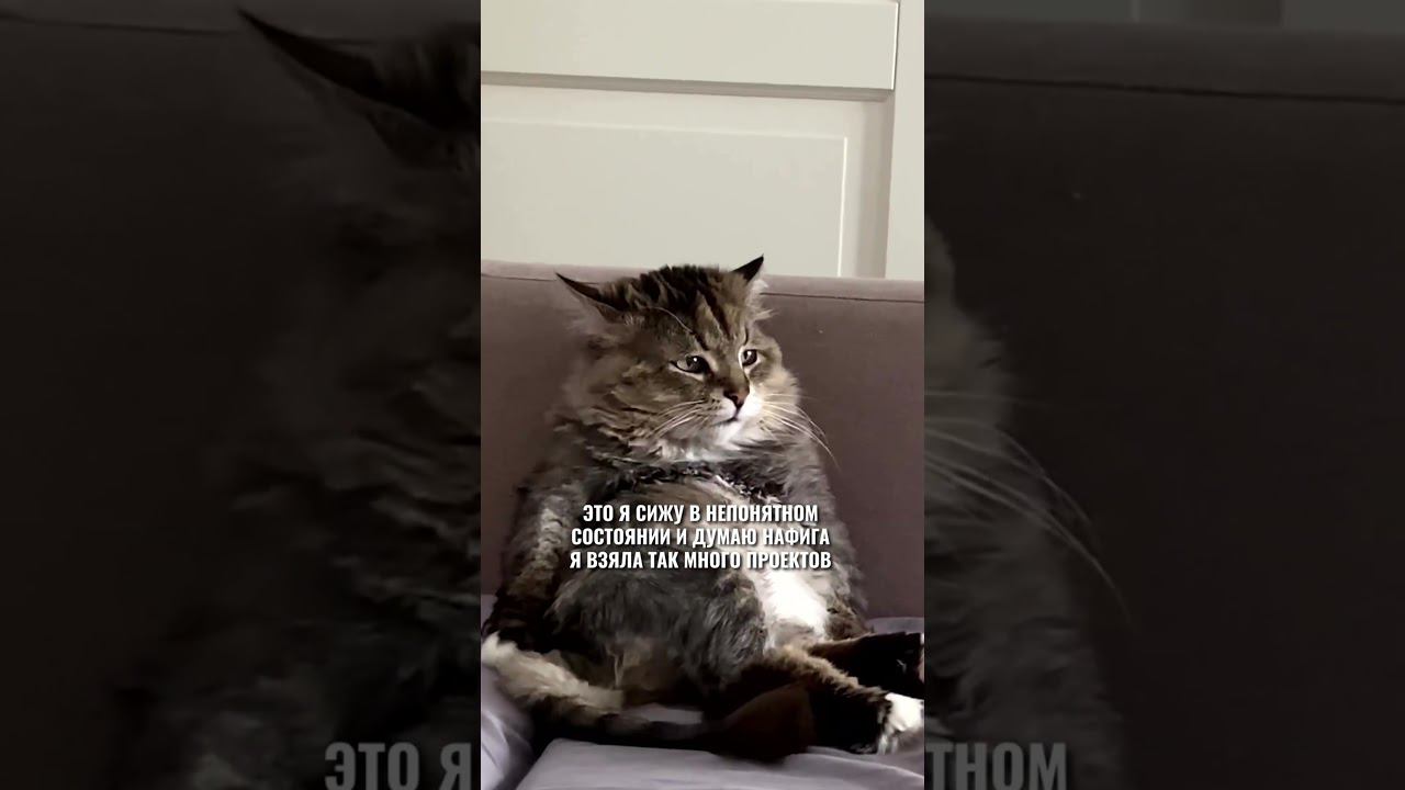 Все фрилансеры страны #flyvideo #графическийдизайн #flyvi смотреть онлайн