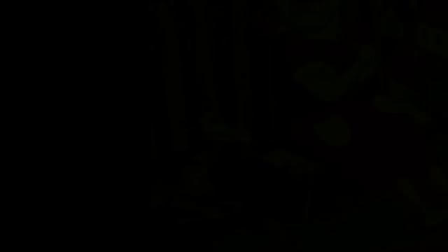 Полёт белой моли. смотреть онлайн