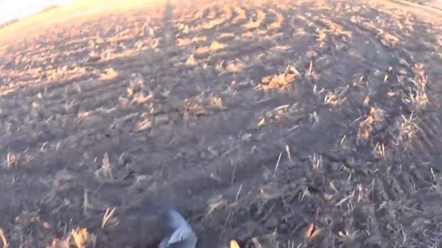 Открытие весенней охоты на гуся в Марий Эл 2021.Утрянка... смотреть онлайн