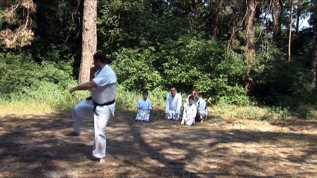 Ката Сансеру. Неронов. 34-й экзамена по каратэ. Karate Kata смотреть онлайн