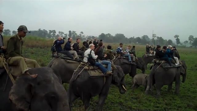 SAFARI, Kaziranga National Park UNESCO смотреть онлайн