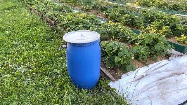 Спорт и Физическая Активность