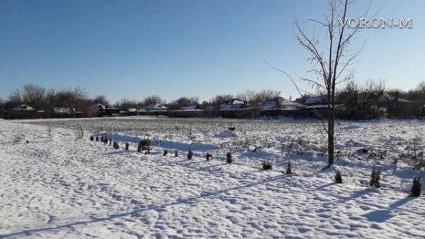 Лучшая защита от собак | Электропастух (электроизгородь) - год спустя.