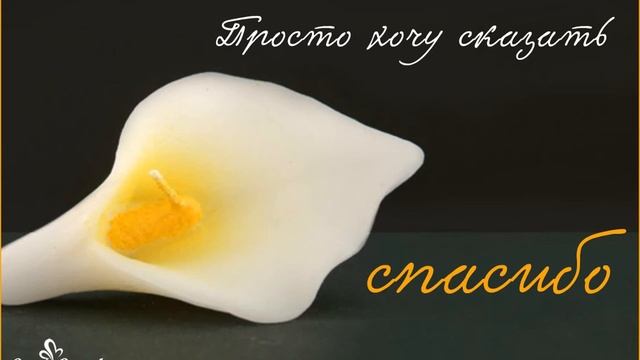 Просто хочу сказать спасибо смотреть онлайн