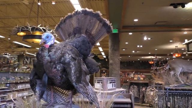 Мечта охотника, Обзор охотничьe-рыбoловного матазина Bass Pro Shops смотреть онлайн