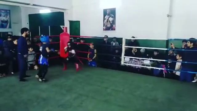 Соревнования по Кикбоксингу. Обо бойцы много кратные чемпионы. С синего углу ринга Мудассир Алиев. смотреть онлайн