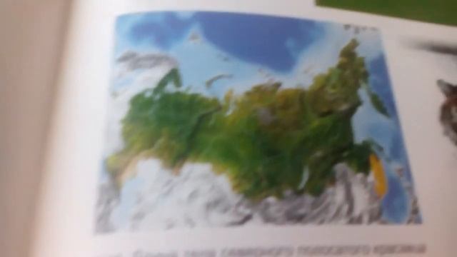 Красная книга амурский тигр и снежный барс. смотреть онлайн