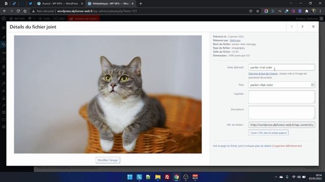 Générer automatiquement le texte Alternatif des images dans Wordpress. Optimisez votre temps ! смотреть онлайн