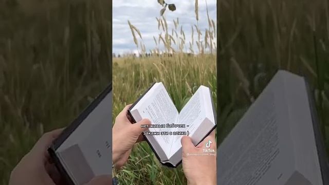 бабочки вылетают из книги #Shorts смотреть онлайн