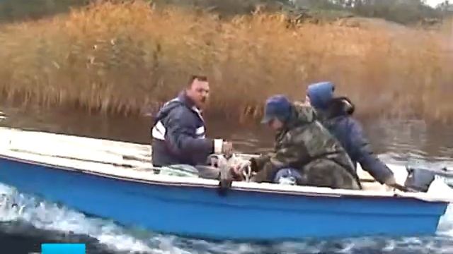 Наши в Финляндии смотреть онлайн