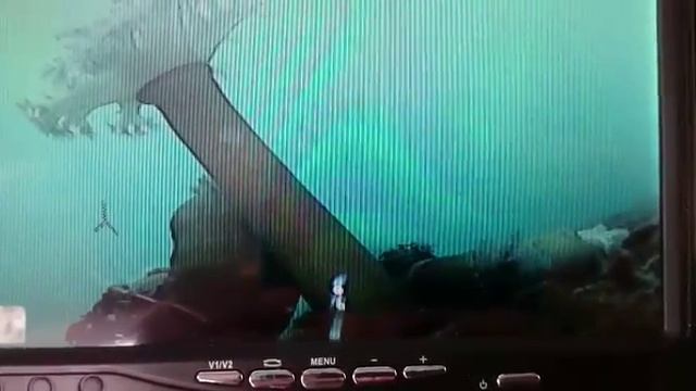 Помидоры Японского моря смотреть онлайн