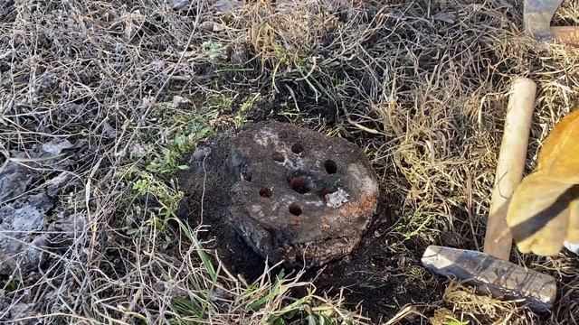 Год ждал, пока селитра сожжет пень на участке. Пришло время узнать результаты эксперимента. смотреть онлайн