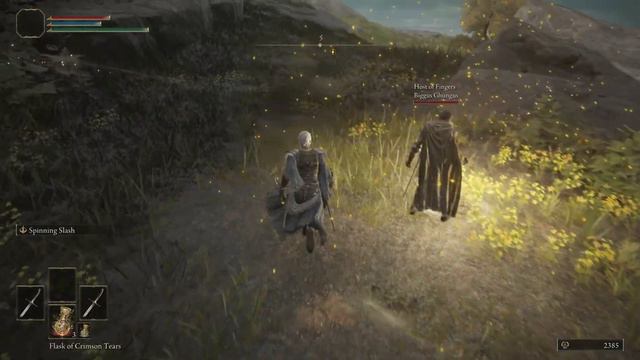 Elden Ring Coop |1| Seamless Mod смотреть онлайн