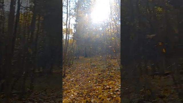 Листопад смотреть онлайн