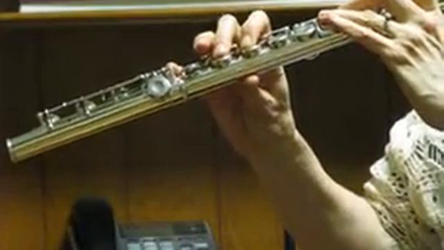 Pearl PF-761 Flute (Used) - Offset G, Split E - Mid to Low Range смотреть онлайн