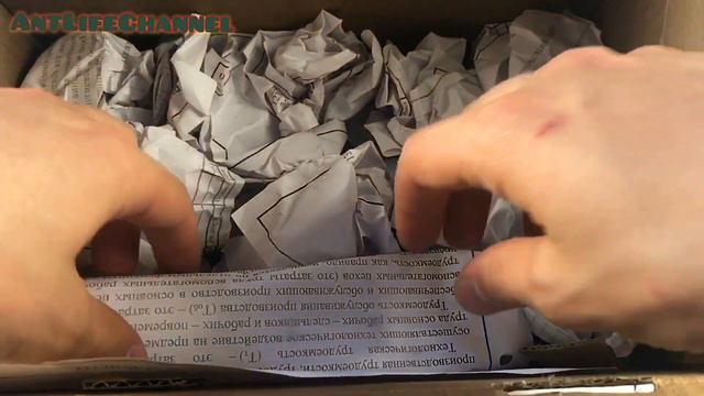 Удаляю Канал! Распаковка посылки! Муравьи ? Муравьиная ферма ? смотреть онлайн