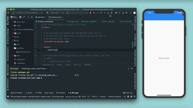 #7 Fetch data from txt File in NO TIME ! | Flutter 21 Days Challenge | COVID-19 смотреть онлайн