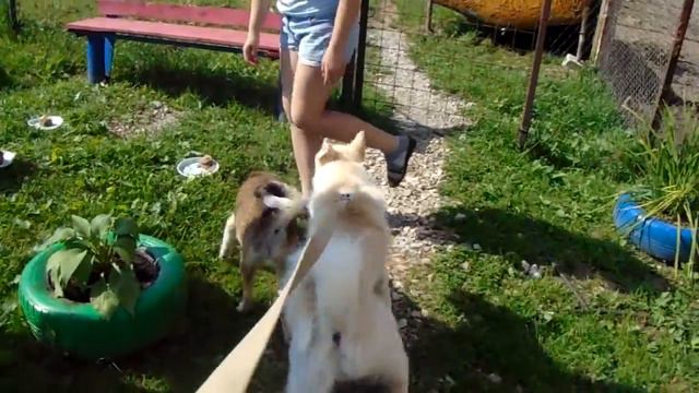 Дар со своими подружками.03.08.2018