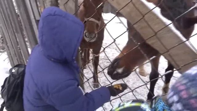 Пермь Беляевка Январь 2014 смотреть онлайн