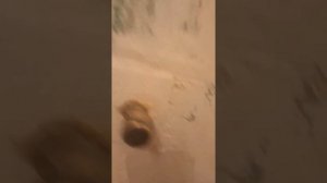 проваливаются прокладки смесителя решение