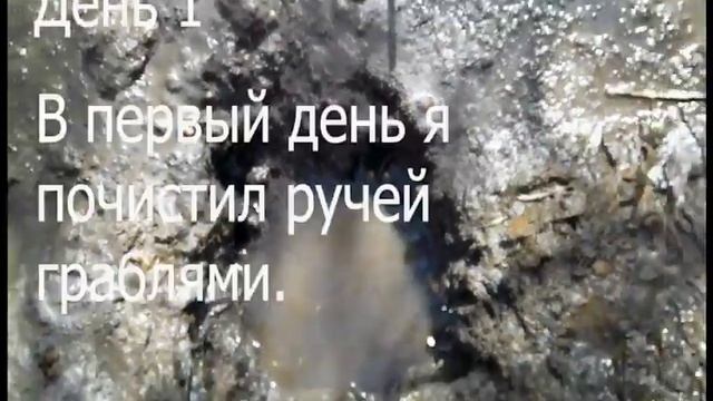Пруд на болотном ручье своими руками (бесплатно): Дни 0 и 1. смотреть онлайн