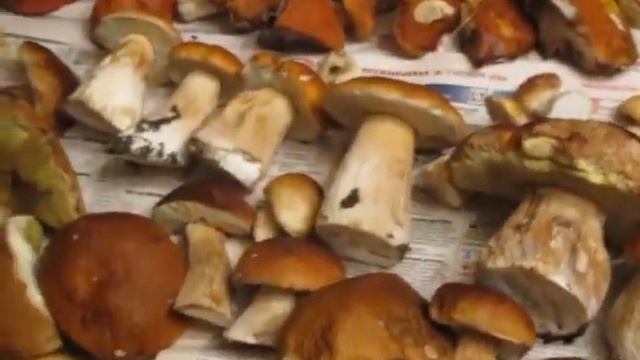 Деревня 2011-2 .Грибной улов. смотреть онлайн