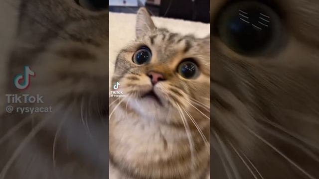 Я на уроке математики