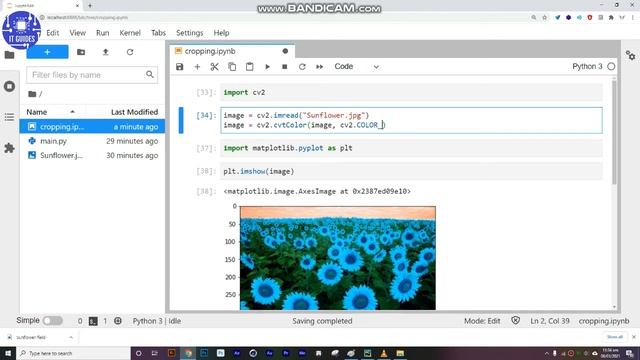Cropping an Image in python смотреть онлайн