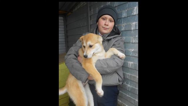 ШКОЛА № 49 г.ТОМСК смотреть онлайн