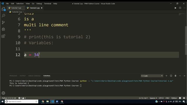 Variables & Comments in Python | Python Tutorial #2 смотреть онлайн