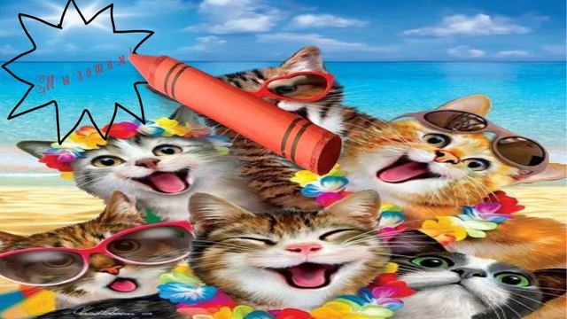 Хочу на море, кто со мной? смотреть онлайн