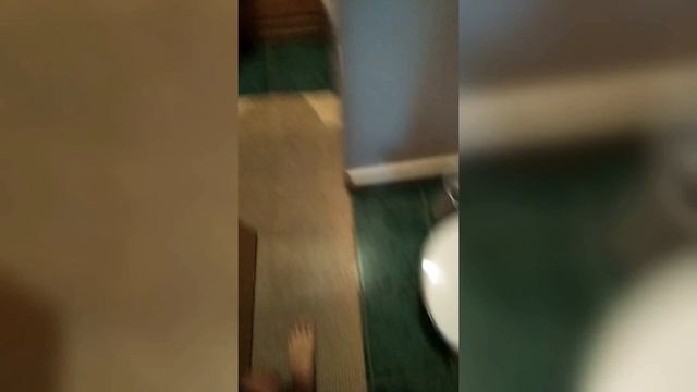 Угадайте страну? ? База "Золотое озеро". Номер стандарт. Алтай! Телецкое озеро. смотреть онлайн