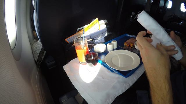 A-320 Business class from Sofia to Moscow (Aeroflot) November 2016 смотреть онлайн