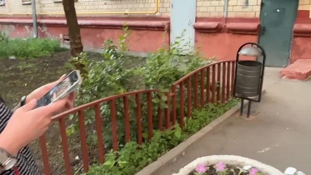 САМЫЙ ДОБРЫЙ МАЛЬЧИК смотреть онлайн