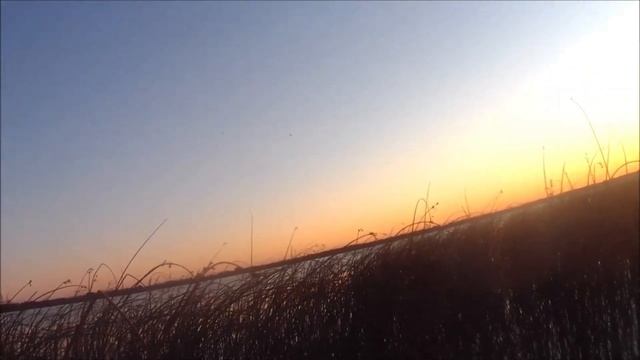 DUCK YOU ON THE DUCK HUNT смотреть онлайн