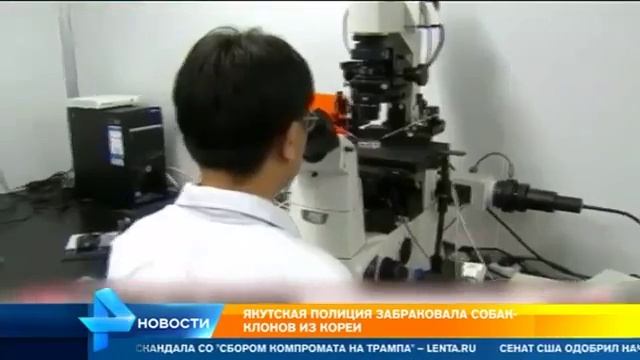 Клоны собаки ищейки провалили контрольный тест местных кинологов смотреть онлайн