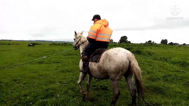 Пастух учится управлять ЛОШАДЬЮ. смотреть онлайн