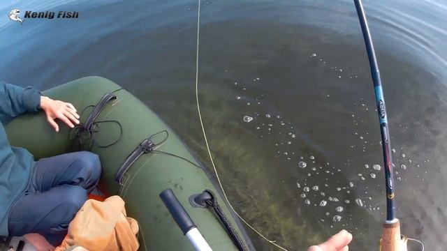 Ловля осеннего судака в Калининградском заливе с лодки смотреть онлайн