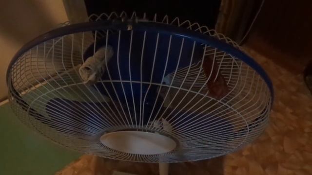 Изготовление и краш тест бильных пальцев для пересьемной машины смотреть онлайн