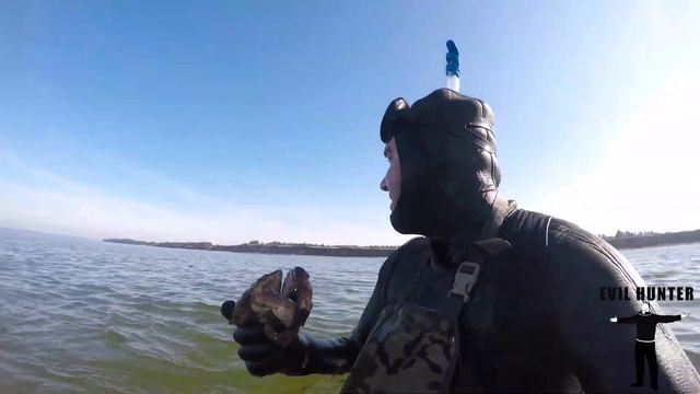 САМЫЙ БОЛЬШОЙ ЛОБСТЕР И ГИГАНТСКИЕ КРАБЫ ПОЙМАННЫЕ РУКАМИ смотреть онлайн