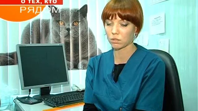 Ветклиника 