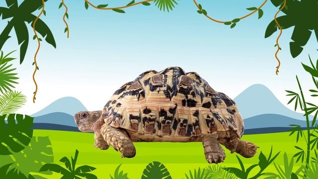Learn jungle animal names for toddlers in English ? Learn wild animals ? смотреть онлайн
