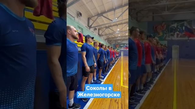 Соколы в Железногорске смотреть онлайн