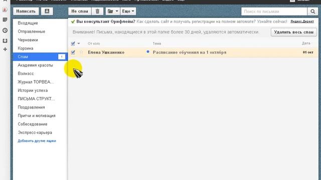 Что нужно сделать, если письмо попало в папку спам смотреть онлайн