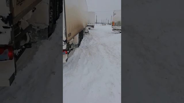 Трасса Гомель Брянск, опять попадалово!!! смотреть онлайн