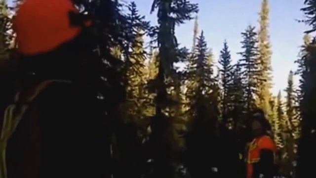 Гул Земли (Дело №66) смотреть онлайн