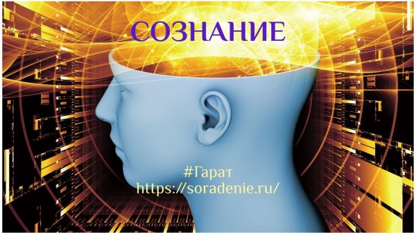 Сознание #Гарат