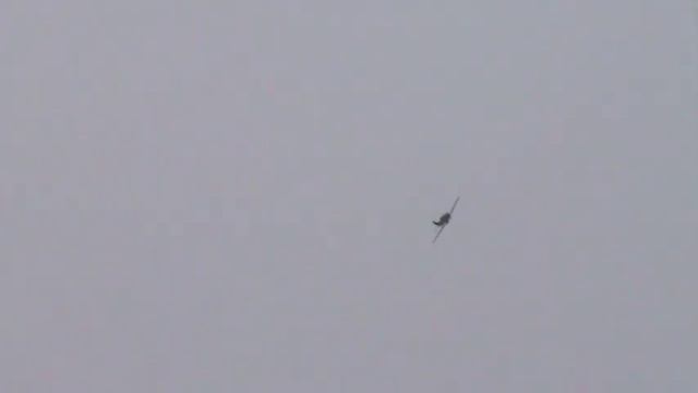 Danny's - Top Flite P-51D ARF (.60 - .90) DLE 20cc Gasoline Conversion Maiden